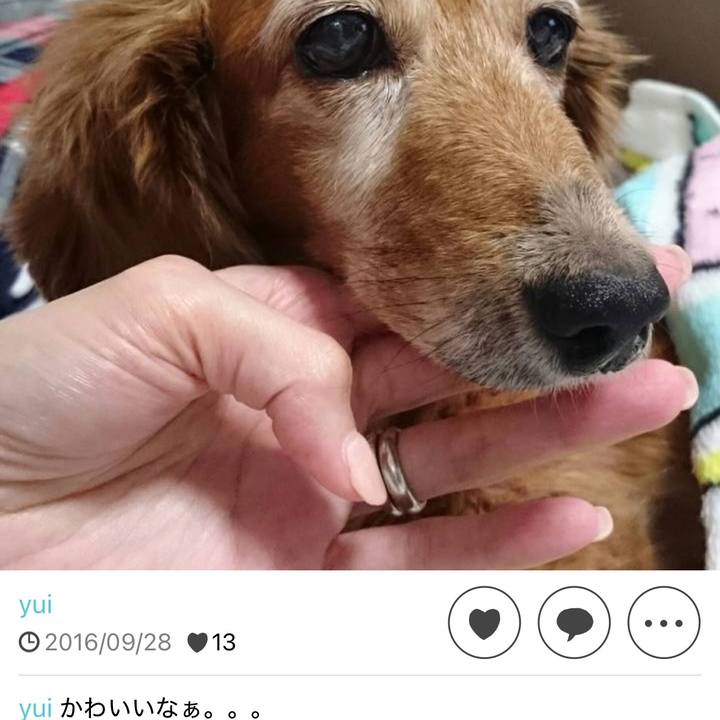 051de957 529b 453d bd3e be4288448fa9 1759421819100