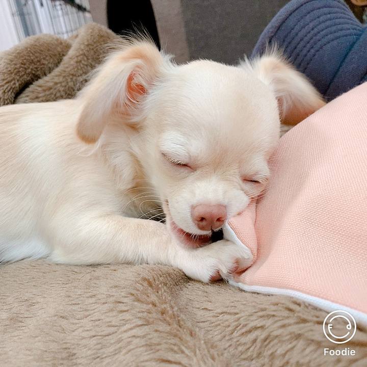 051df38b 9f17 4084 b4c8 2a199b86c687 1597745040134