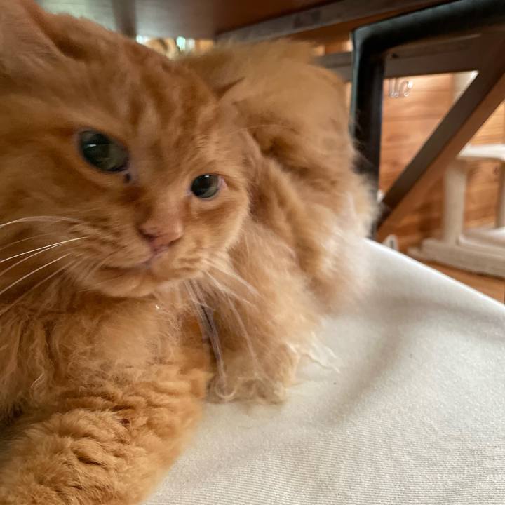 051e1691 8d2f 4f9b a3e1 343066cbdb91 1695933120449