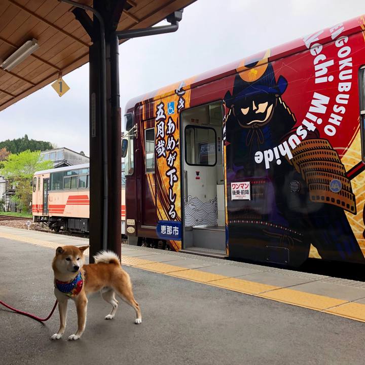 051e1a95 cfb1 44e4 b4aa 4a356d4a234a 1556439039650