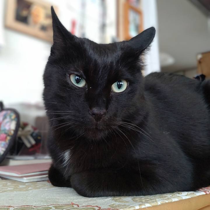 051e1fc1 f96e 4a45 990e 12efa4d26c40 1742613673059