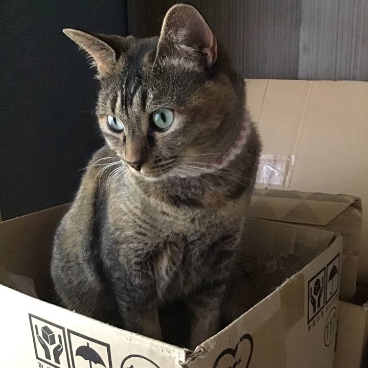 051e431c ac88 4158 ac76 c73a1e35643e 1692343445591