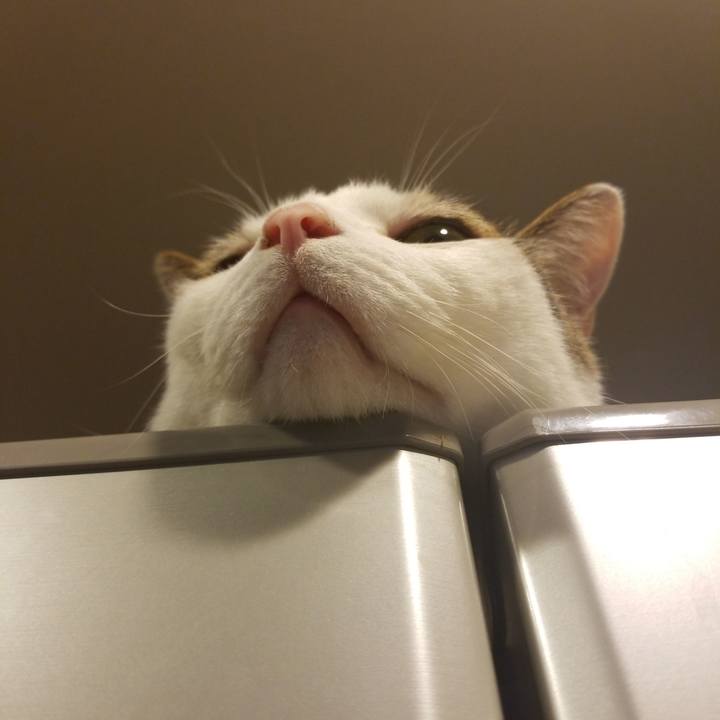 051e5269 5eda 4093 a77a 17cc592fc0ad 1592424266164