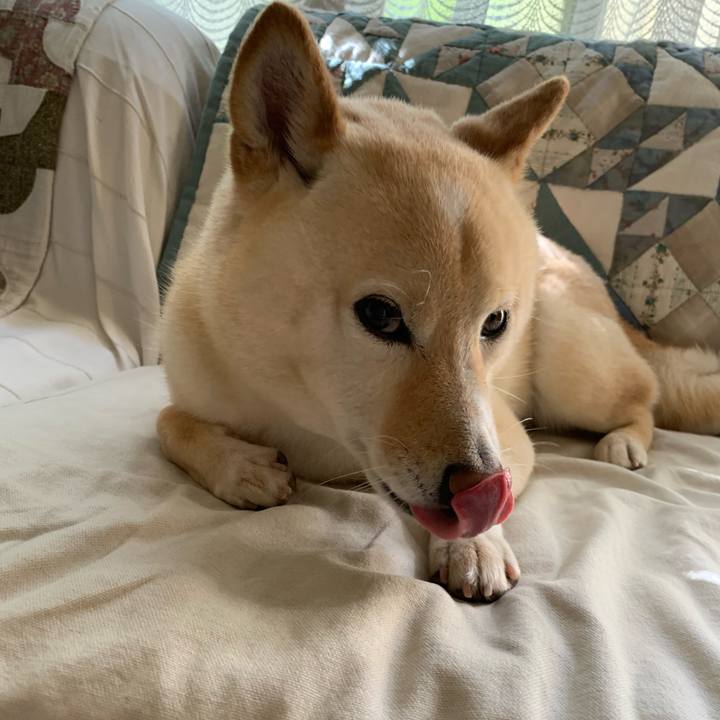 051e5286 d95b 499a b162 a364d7066431 1654039380034