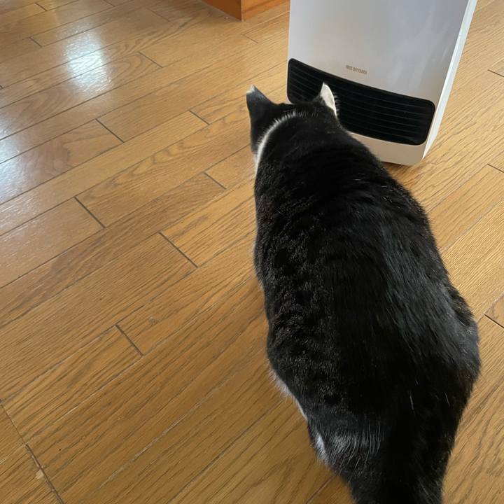 051e5808 2e77 4ce7 aa89 0d103353e11d 1701391090778