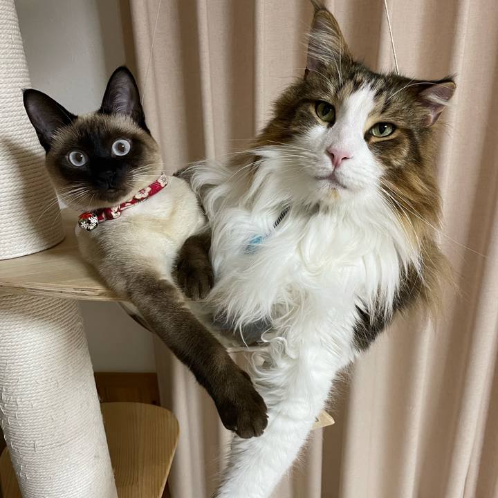 051e6bdc e76b 49d9 859b b63011f535cf 1711359030176