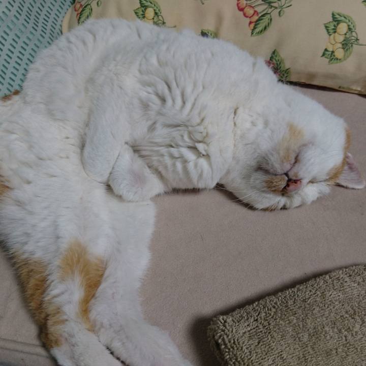 051e8e5e 041d 43b4 abb9 63d8385e1859 1535544861302