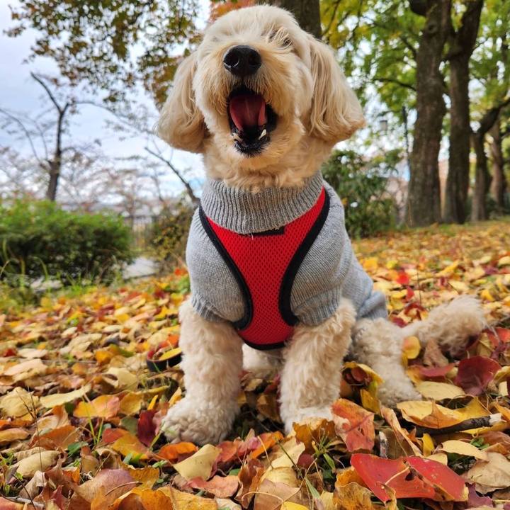 051ec0dd e64f 41eb 9a93 28383a678c30 1763446015897