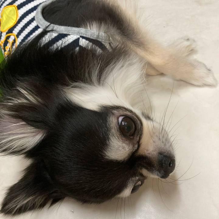 051ec622 0846 4356 bc88 11c7b766aabb 1654349197557