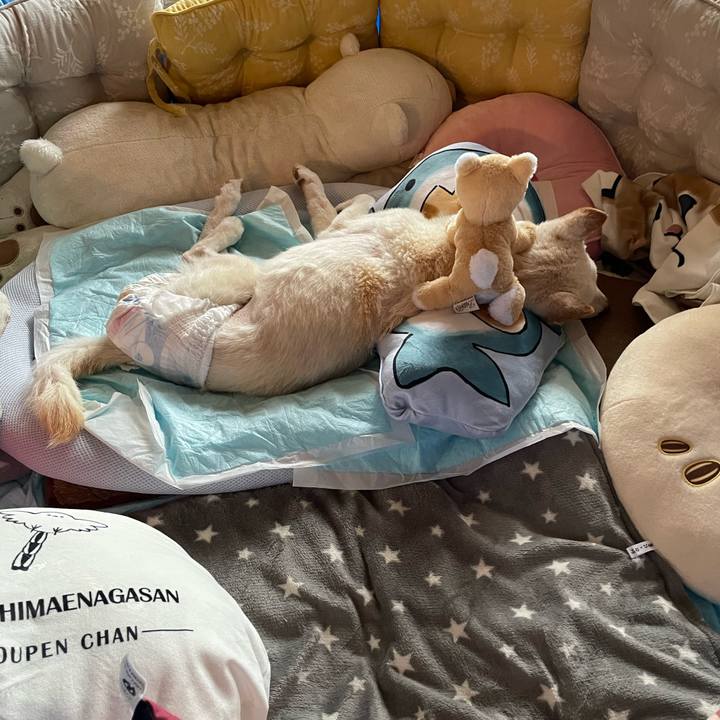 051ed52f a6f6 4619 bfac 2c505784e099 1681451311681