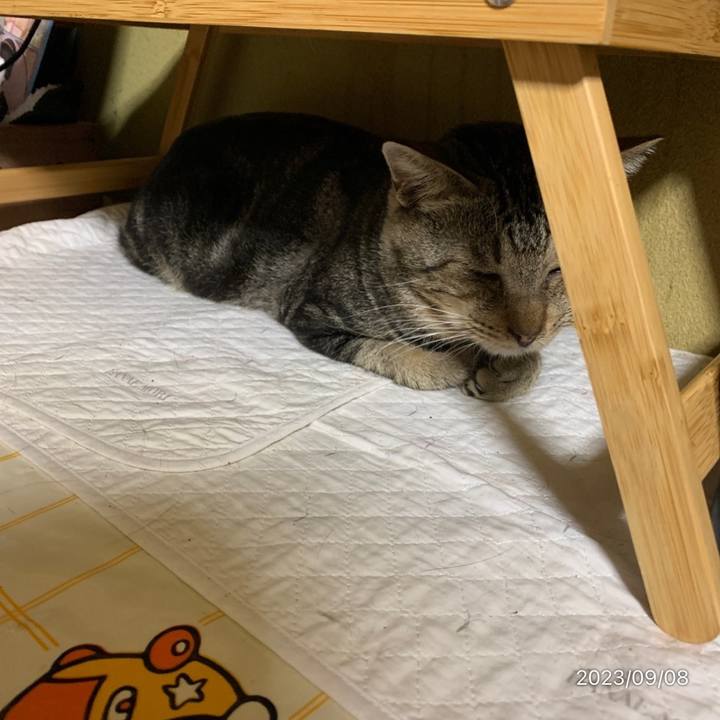 051efadf 0c57 4b4b 8a00 9419248a590c 1694136726727