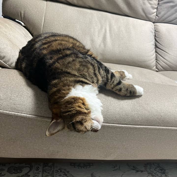 051f05d6 9090 48b6 a09c 80b630833c99 1740527944165