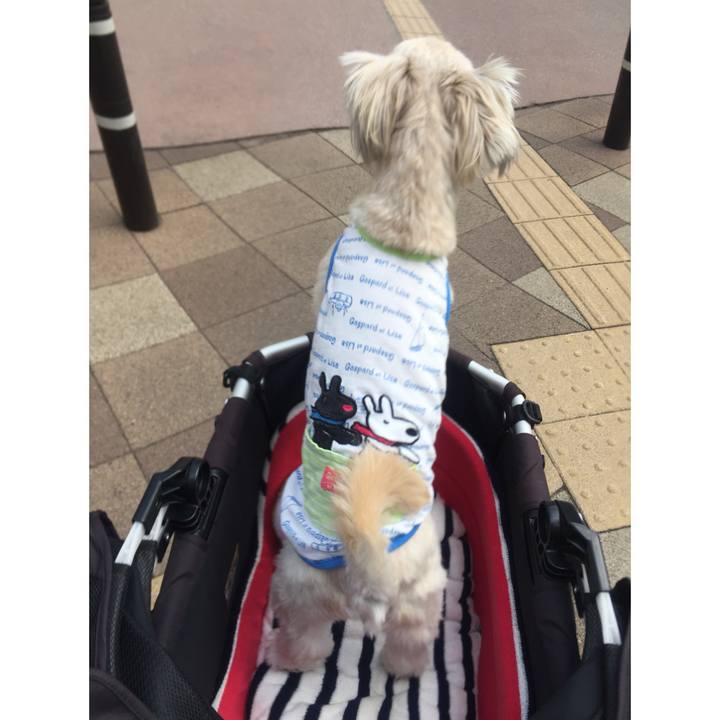 051f0d15 24d4 4c74 b25c ad35f5f82535 1521871255577