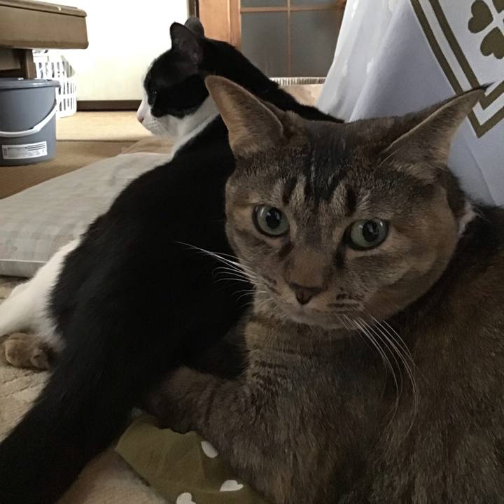 051f85e8 844e 4ed8 8dd6 515bd2af8da8 1700123531654