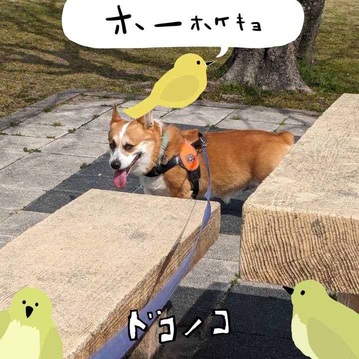 051f9b9f 0190 46fe 8d8f 2d625ac8da30 1711065952445