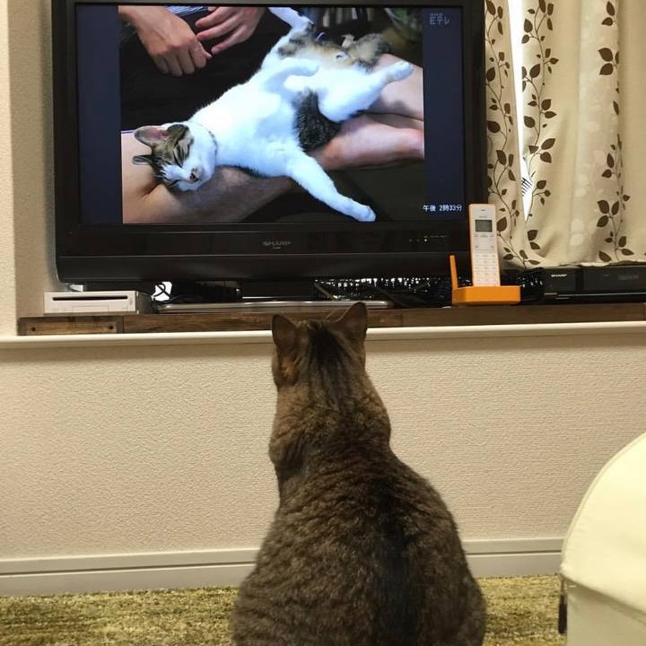 051fb183 4b82 49a5 a534 6921df27aae5 1632974780739