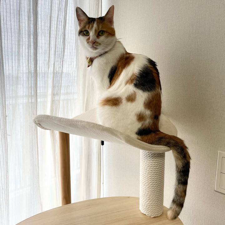 051ff54e 976d 48fd 87e8 4bf2724de25d 1636342357823