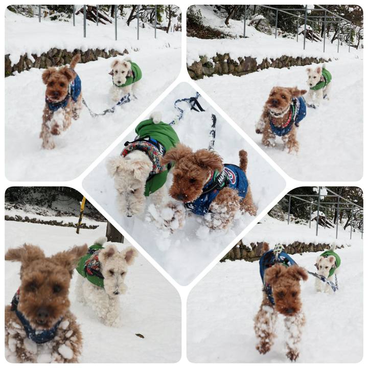 051ffcad aeb3 4700 96a8 a58d821831c4 1515912251447