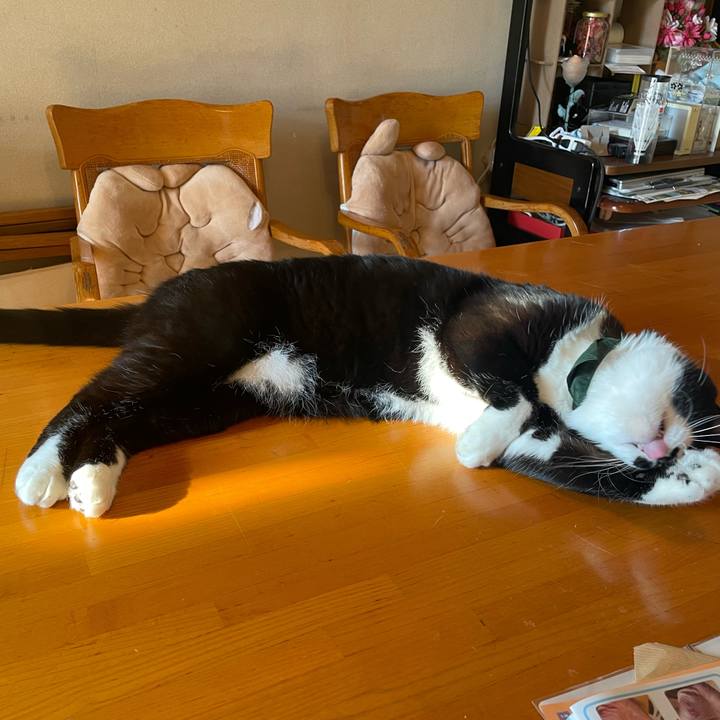 05200b02 5ccc 42a0 8f6c acd969162518 1736922727138