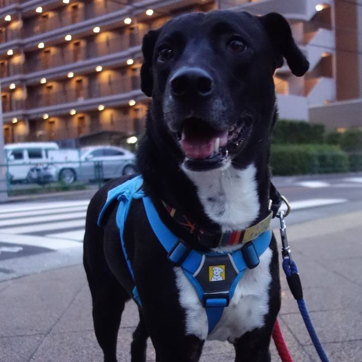 05203ecc 239f 45fa 82b1 ac209141e27b 1620470055662