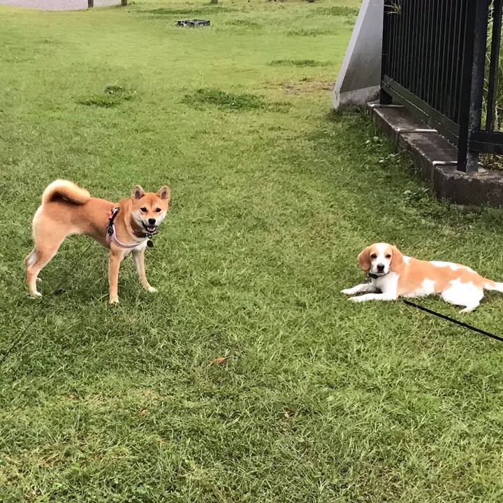 05204a23 2881 44dd b4f6 ff2831047d94 1538953778712