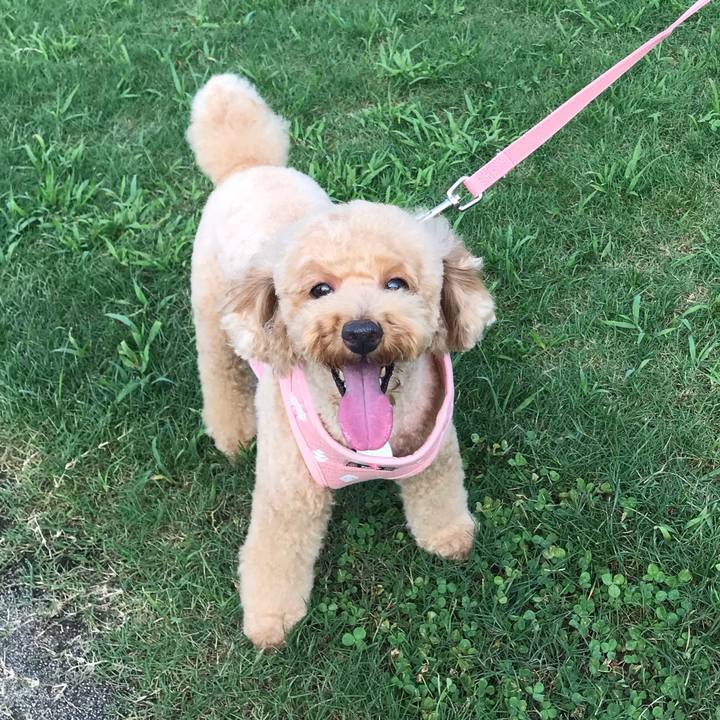 05206948 12a1 4e35 8936 475cd311b3db 1564308634325