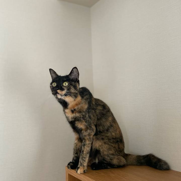 05207781 430f 40f0 9eff b6aaf10c523f 1662874022571