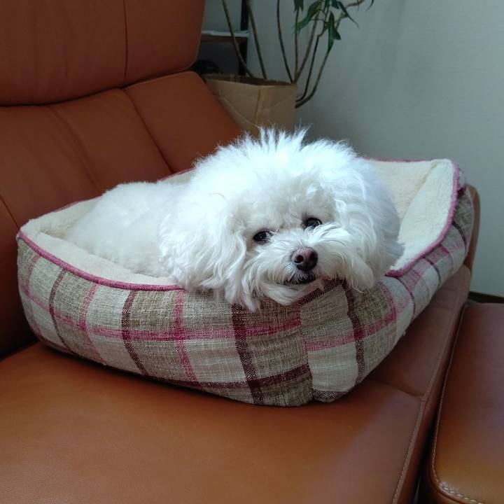 05208917 0d3d 476e 92eb 171d32c9d091 1640493998892