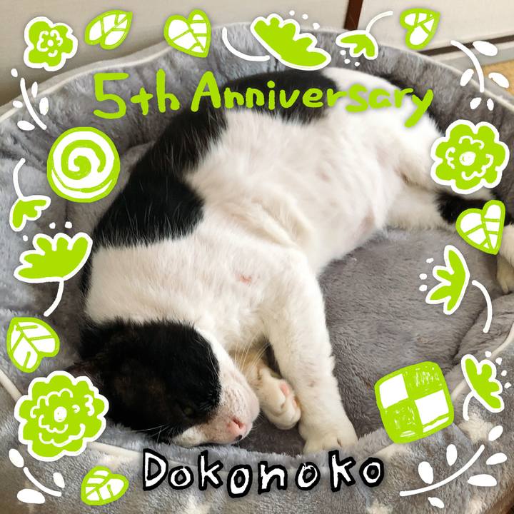 05209d9b cba7 4a72 864b 5eb36d27c429 1623043330535