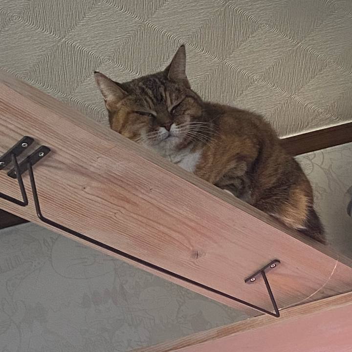 0520ce7a 5441 4115 a754 c012f069e341 1739258539039