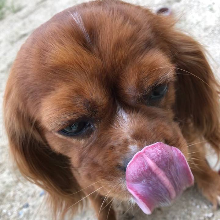 05211b4c 52f6 42ea 832b d4107488c1bb 1594073620821