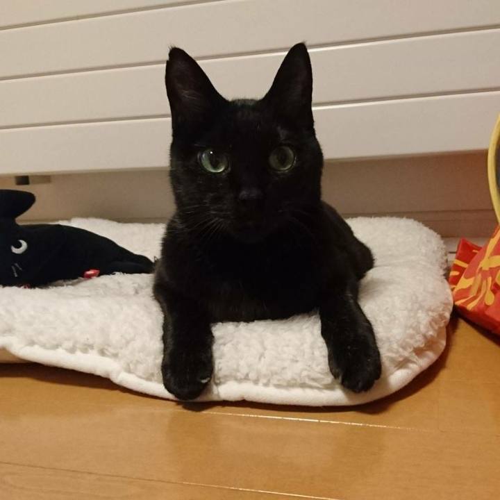 05212956 d21d 4366 97ca 3ae6080a8bc2 1518087659427