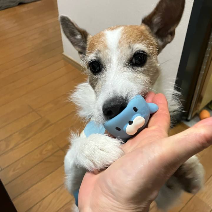 05212f1a 3b9e 4985 86f1 bd4a6124c593 1685750793035