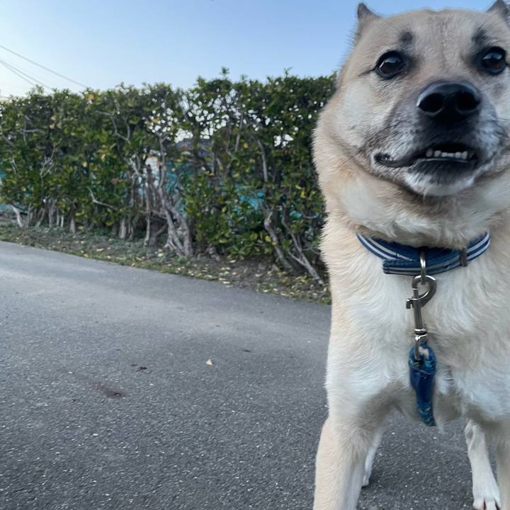 052141ff 7eac 4b12 8bfa c3c78034dbca 1647432576747