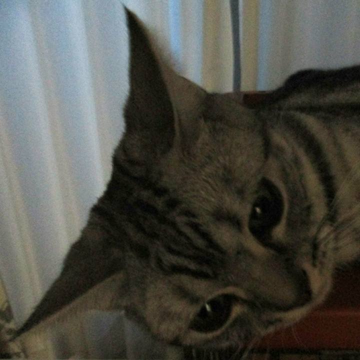 052146e9 19c2 49a2 baf7 ddbb9dc08bfc 1563963970466