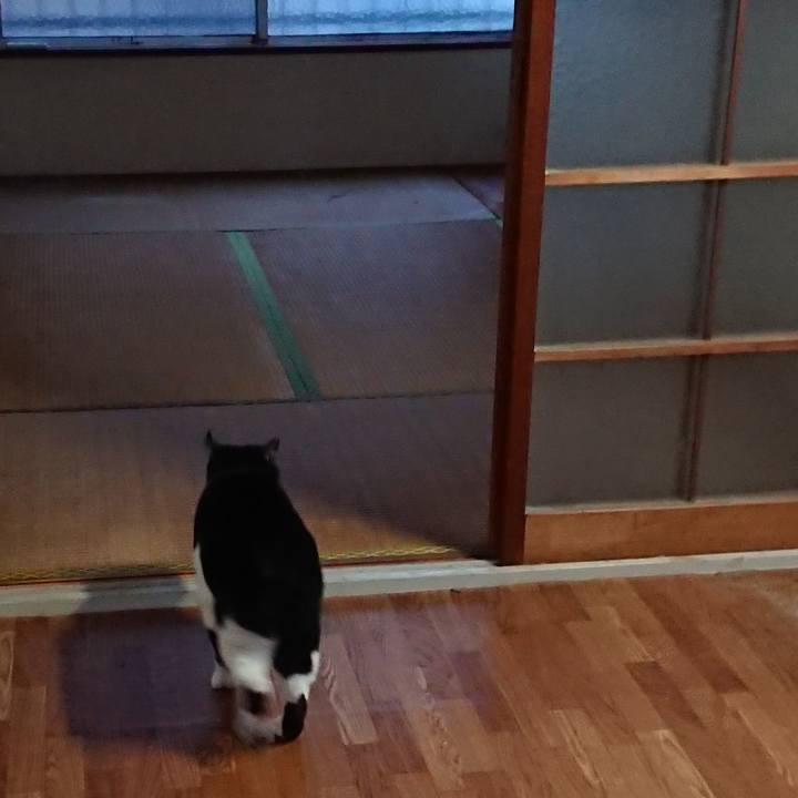 052148a3 a84e 46cb 9d43 39b4c7cb943b 1677209308651