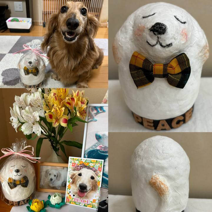 052159cc b969 4b1c b8d9 fb84c8b9674e 1715763704193