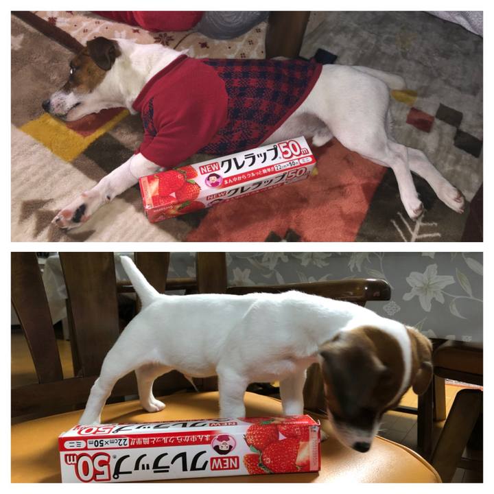 05219a1a d773 430b bed1 a7d0406794ce 1584971299227