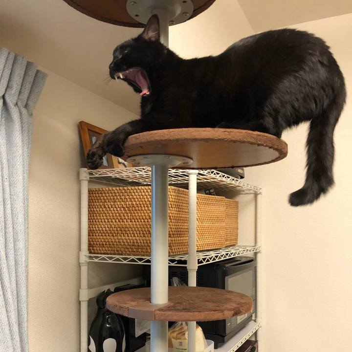 0521e622 55b6 4c1c a4a1 aa36285304a5 1508053073944