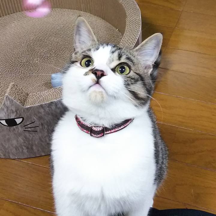 052203f8 db2b 4dcf 97d1 0678582039c8 1615460558849