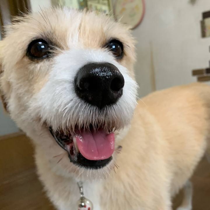 05222296 b57b 45e0 a4cb 9aeab644373d 1594795142769