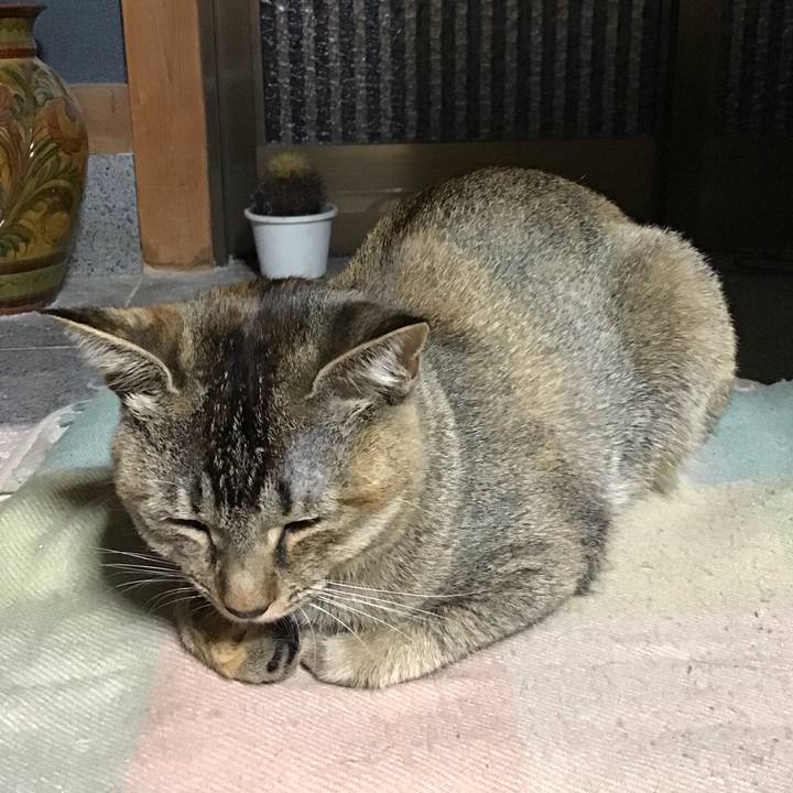 05222ad0 205c 407e bdcc 2d925af864ce 1576054199456