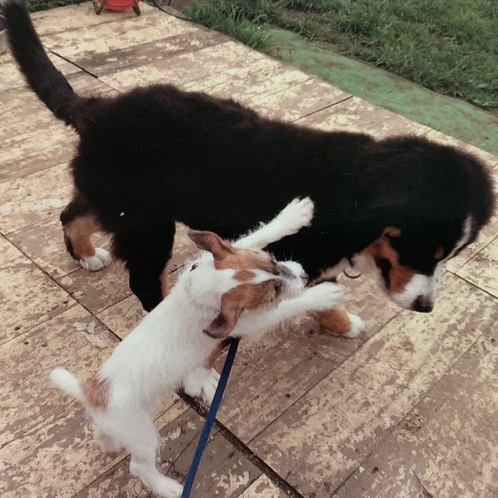 052240a6 6767 4b19 b265 9d98ba82707b 1562136328246