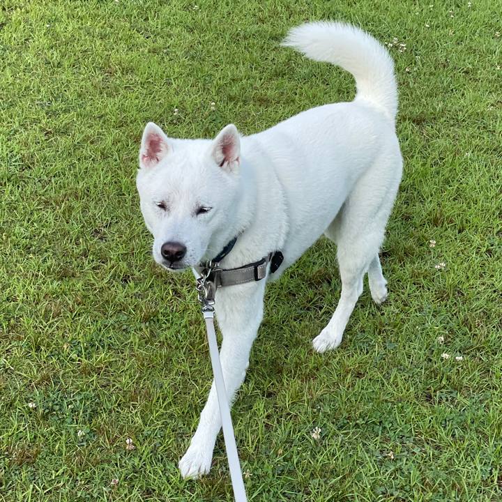 05225eac 02cd 44dd 8ffa 38870972d975 1718671874054