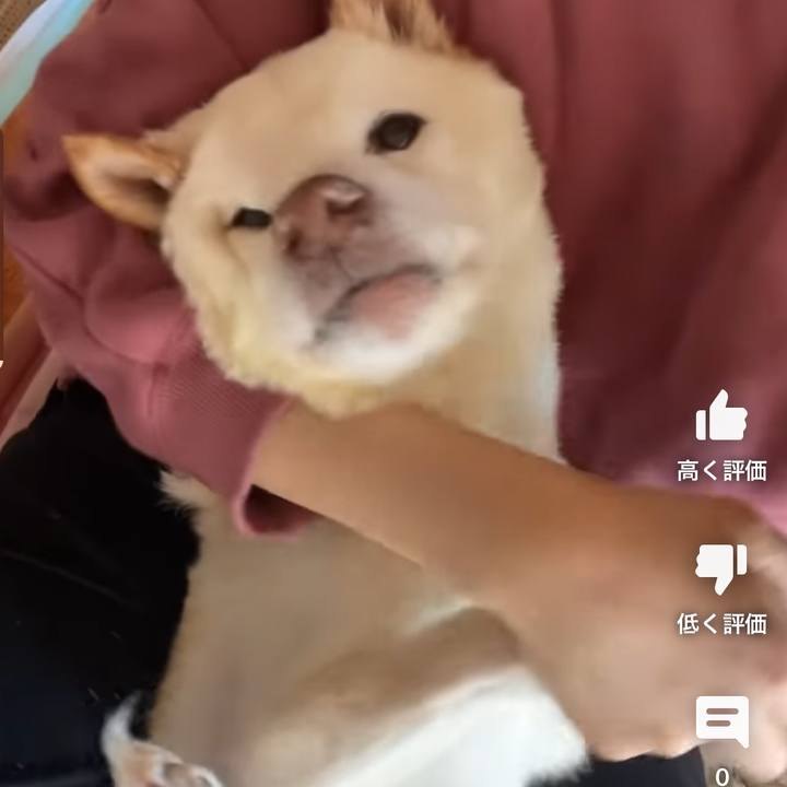 052277b0 0cea 4d0d b0b6 dbf634b8ddf3 1671862216842