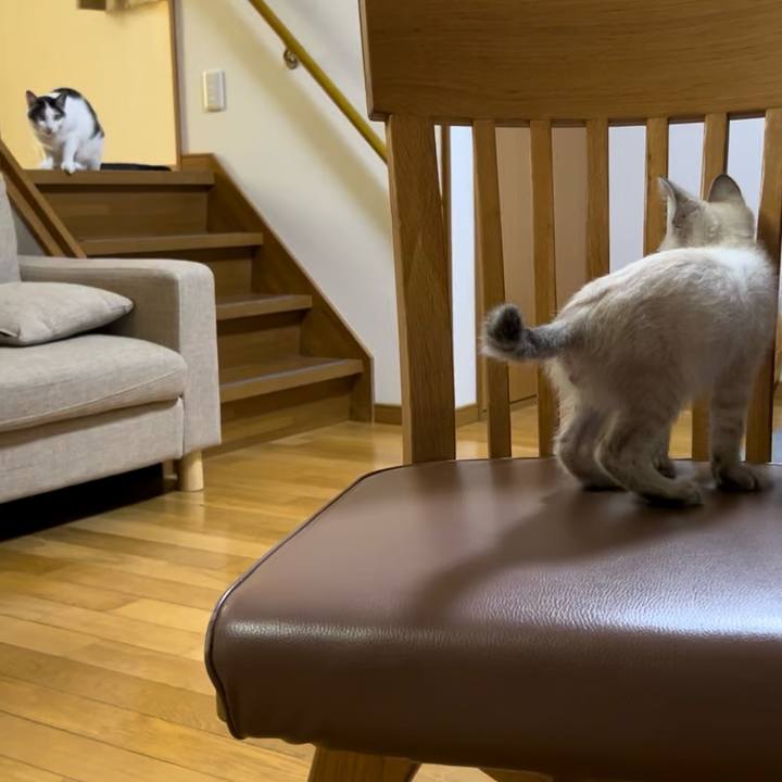 0522a282 cbcb 4474 828e d59286442af0 1721622252200