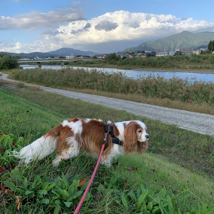 0522ab18 d86d 4a17 aecf a317f0806677 1601974715327