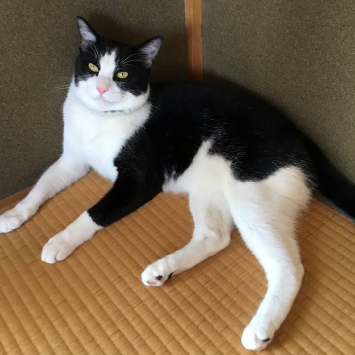 0522eac9 b149 4c05 b523 0a4c6f83d09a 1657255147013