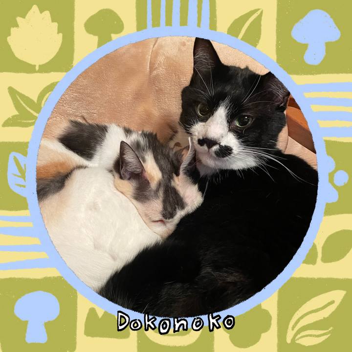 0522f9ba 7884 4f9a 84c2 2a2f468d302a 1761477885528