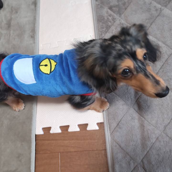 05231452 98c6 4538 8e9f 202d85862680 1708903659363